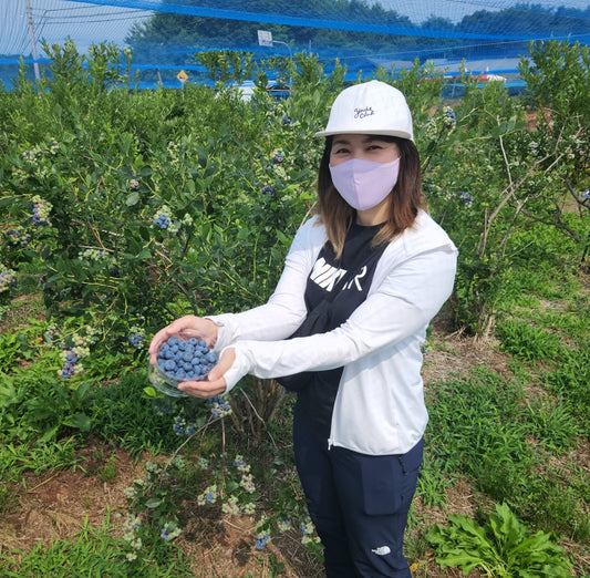 【#生産者紹介】能登無農薬ブルーベリー