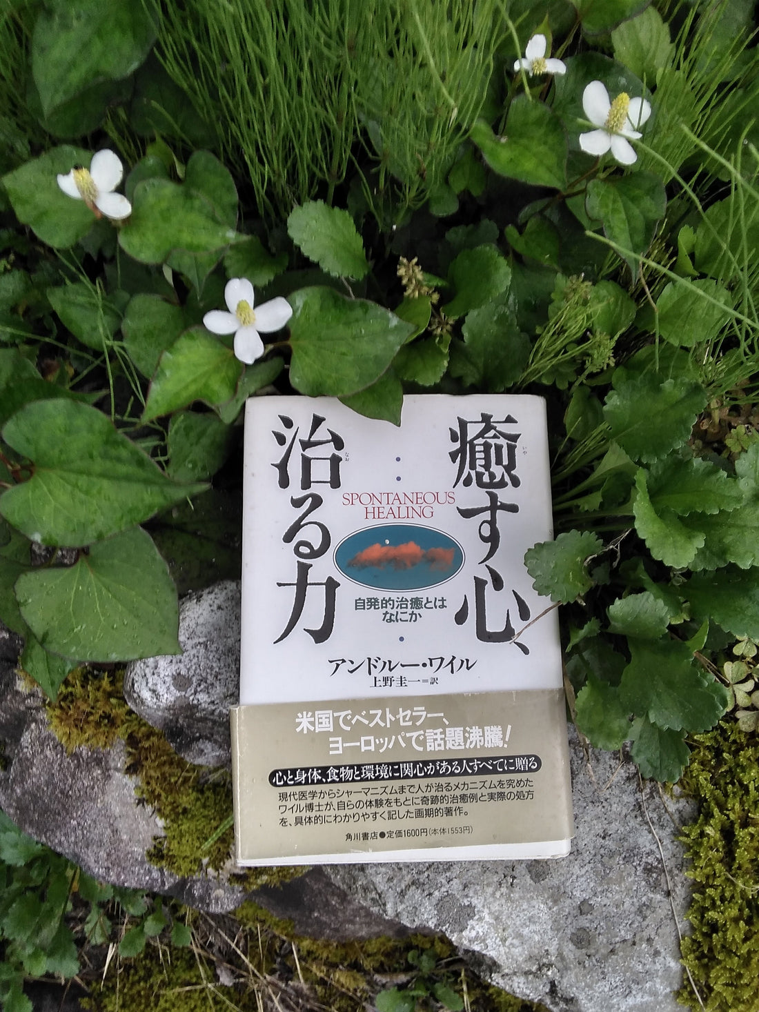 癒す心、治る力